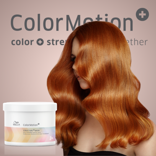 Mascarilla Wella Pro Color Motion 500ml