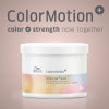 Mascarilla Wella Pro Color Motion 500ml