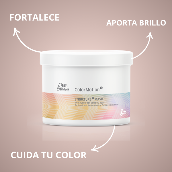 Mascarilla Wella Pro Color Motion 500ml