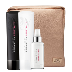 Kit Navideño para Cabello Dañado Sebastian Penetrait
