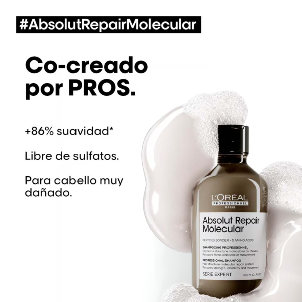 Shampoo y Mascarilla Loreal Molecular