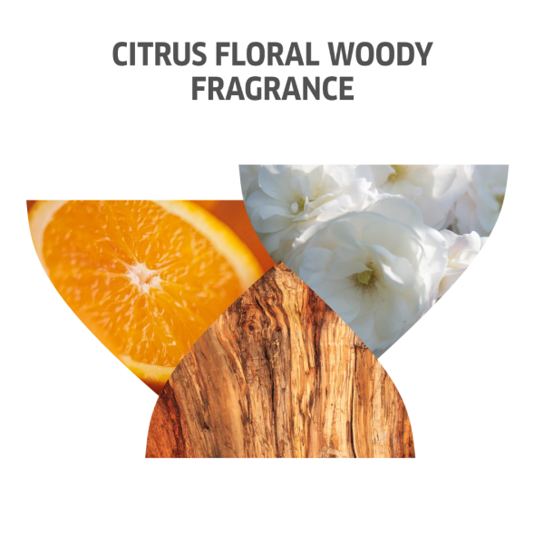 Mascarilla para un Color Intenso Invigo Color Brilliance 500ml