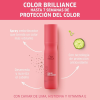 Spray Protector Invigo Brilliance - Tratamiento Portable 150ml