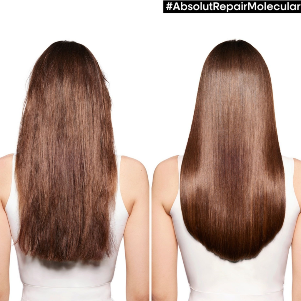 Shampoo y Mascarilla Loreal Molecular