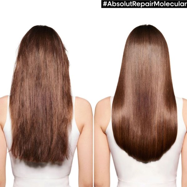 Kit Absolut Repair Molecular