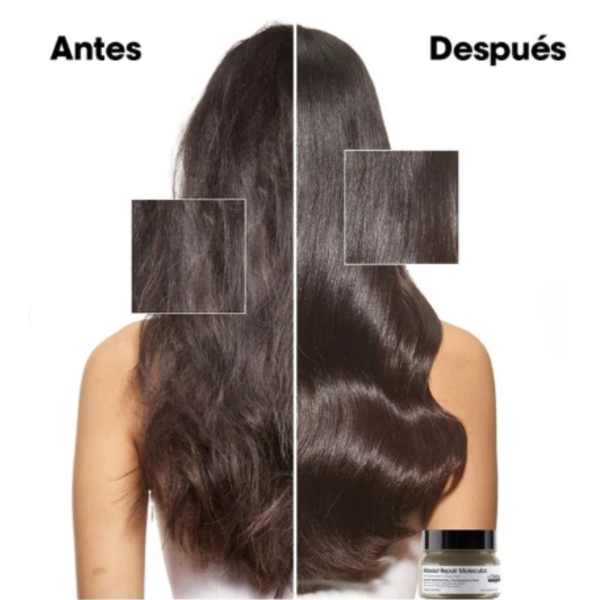 Shampoo y Mascarilla Loreal Molecular
